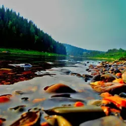 @BeautifulPhotos24 Красивые фото