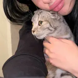 𝐕𝐞𝐧𝐮𝐬 𝐦𝐮𝐬𝐢𝐜🥀 | Музыка | Треки