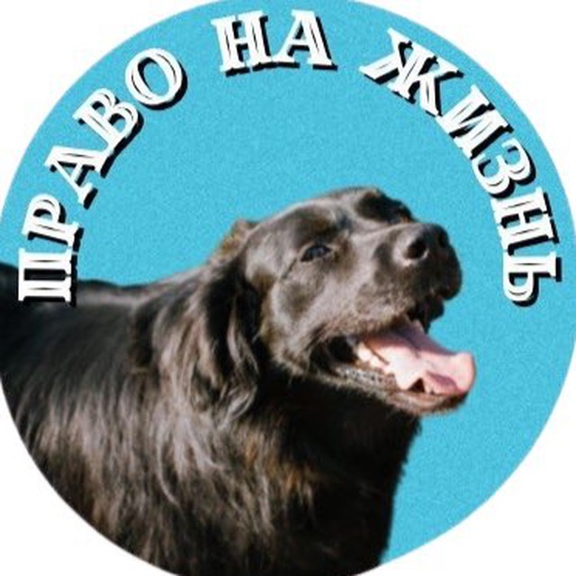 ПРАВО НА ЖИЗНЬ || ПРИЮТ ПОЛОЦК