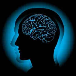 Умственное кино / Mind Movies
