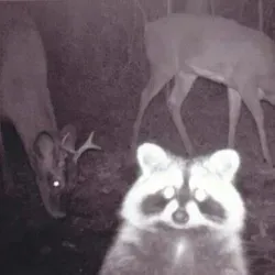 Departáment loves u