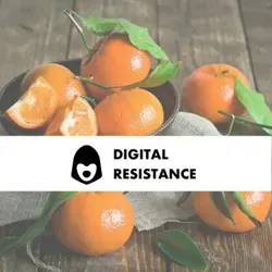 CSW КОРЗИНКА МАНДАРИНОВ