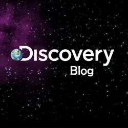 Discovery blog ?путешествия