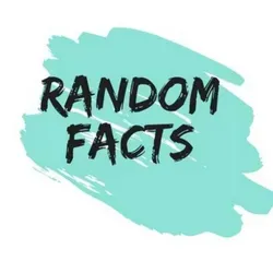 Территория Фактов|