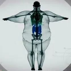 Записки жиробаса