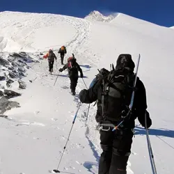 База знаний digital-менеджера