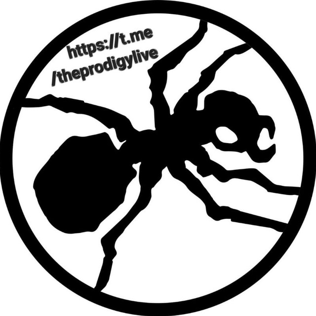 The Prodigy Daily