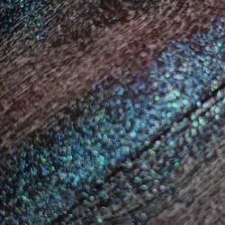 Визажиха ин да ВилаG