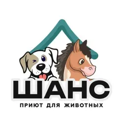 Sasha_bulat1994 ( Приют для бездомных животных "Шанс") г. Волгоград