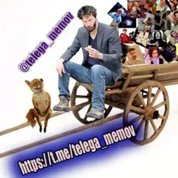 Mudak
