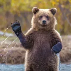 Открытый Дальний Восток