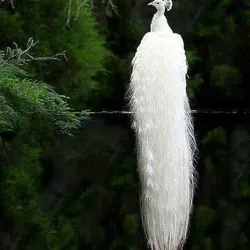 Все рекламы